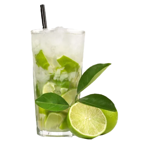 Lemon Mint Motito