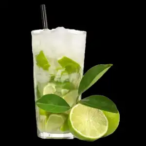 Lemon Mint Motito