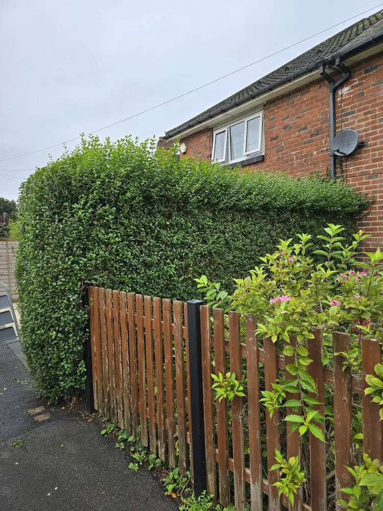 fence before